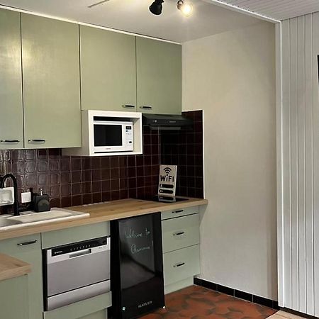 Studio Dent Du Caiman, Chamonix Hyper Centre, Parking, Vue Mont Blanc Luaran gambar
