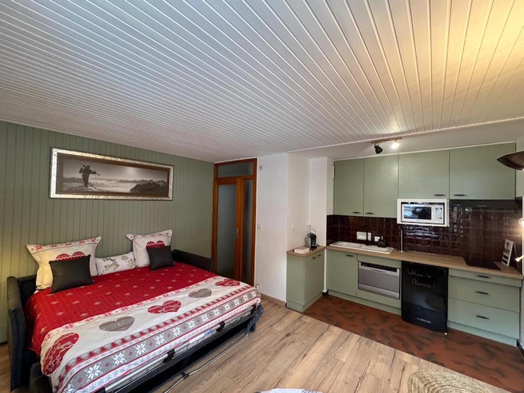 Studio Dent Du Caiman, Chamonix Hyper Centre, Parking, Vue Mont Blanc Luaran gambar